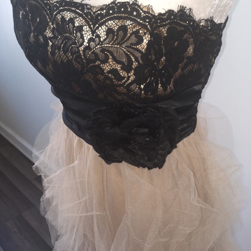Roberta Nude / Black Lace Ruffle Dress - Picture 6 of 7